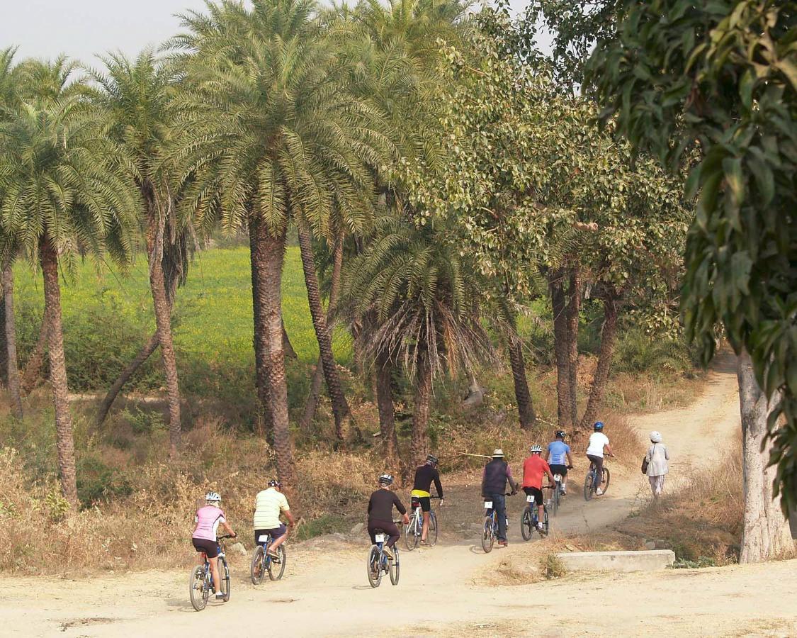 Готель Shahpura Bagh Екстер'єр фото